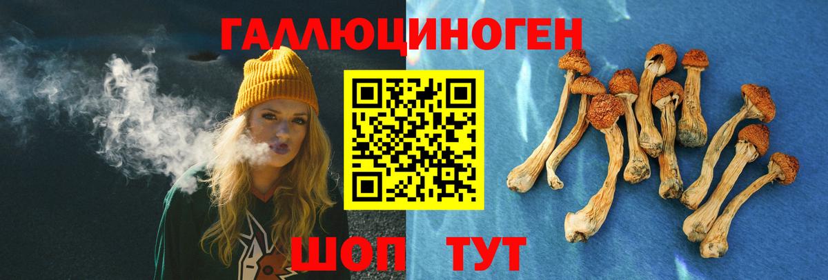 Орехово-Зуево  где найти наркотики  Вход с VPN  Псилоцибиновые грибы Psilocybe 